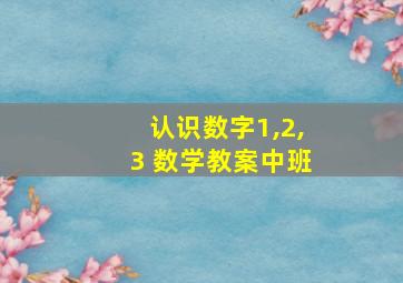 认识数字1,2,3 数学教案中班